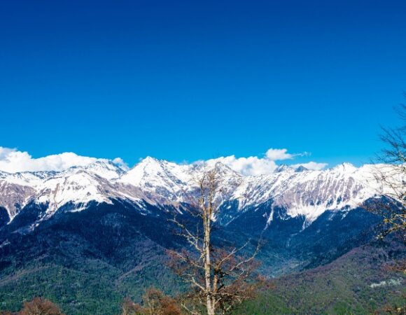 عروض اليوم الوطني ( سوتشي )