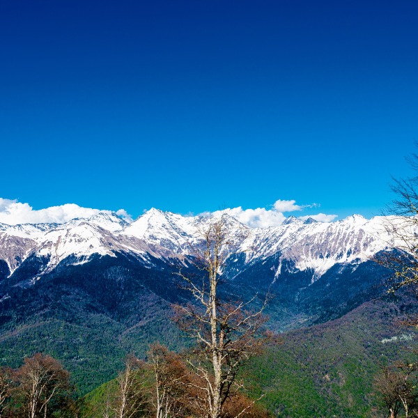 عروض اليوم الوطني ( سوتشي )